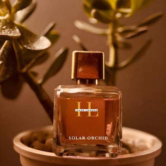 Solar Orchid